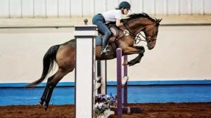 Shannon Howerton, First Edition, Thoroughbred Aftercare Alliance, Thoroughbred Athletes